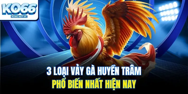 3 loại vảy gà huyền trâm phổ biến nhất hiện nay