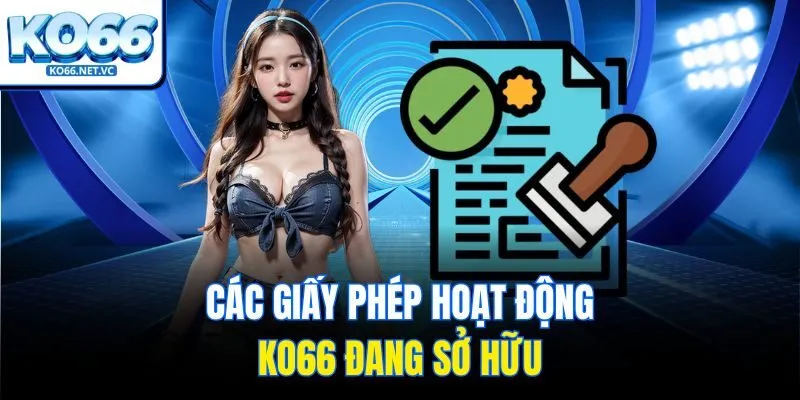 Các giấy phép hoạt động Ko66 đang sở hữu